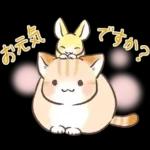 スナネコのサシャ 2