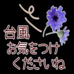 寒くなりましたね〜お体を大切に〜