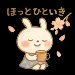 ✨白うさぎさん🐰