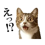 都内3区で連続目撃！