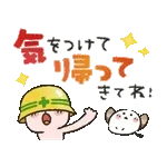 吾輩は猫です。。。夏