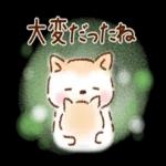 いつもありがとうございます