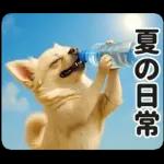 ずっと使える♡夏のチワワ
