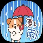 超人気スタンプ🔥🔥🔥   