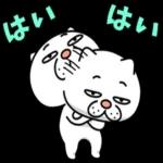 😍憧れ💕アルバム