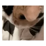 気持ちが伝わる日常メッセージ☆