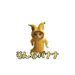 動く！踊るダジャレ猫ミーム！