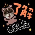 明日から本気出す！！
