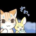 スナネコのサシャ 2