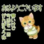 冬のキラキラおめめの子猫ちゃん