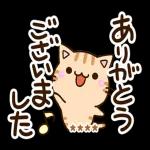 今日も一日おつかれさまでした