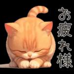 ぽっちゃりちび橘猫