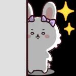 飛び出すリボンウサギ☆毎日使える