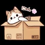 かわいい猫😺が来ますよ！
