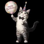 クーポンコード: HAPPYBDAY