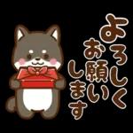 黒豆柴 あずき♡毎日使える 秋冬ver