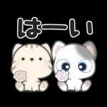 **ほのぼのにゃんこ**