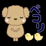 🐶犬の冒険物語