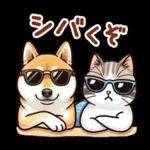 猫のつめあわせ④【ダジャレ】