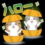 素敵な一日になりますように〜