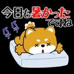 豆柴「夏を感じる」