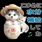 夏 猛暑 酷暑♡シベリアンハスキーとネコ
