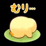 涼しくなってきましたね〜お気をつけて〜