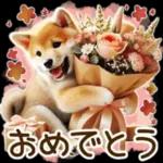 喜怒哀楽の激しい柴犬の野菜ダンス