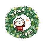 🎄お気に入りのクリスマスオーナメント🎁