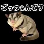 フクロモモンガ❤実りの秋は大豊作