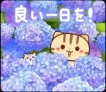 夏も飛び出す♪ ネコちゃん ハムちゃん