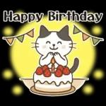 猫ちゃんとスイーツと夏