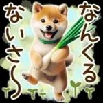 喜怒哀楽の激しい柴犬の野菜ダンス