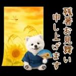 癒しポメラニアンの「夏」の毎日