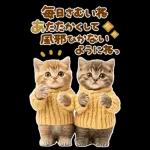 大きく表示♡冬にゃんこ