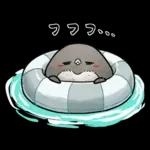 【夏】虚無かわいいアデリーペンギン