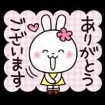 優しい2!!かわいい白うさぎ