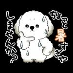 動く犬さん 2025 「暑い夏」
