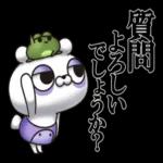 🌼春の息吹パッケージ