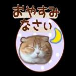 たれ耳ねこちゃん_見やすい！使いやすい♪