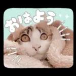 まるちゃんスタンプ＃1