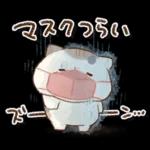 となりのにゃんこ　summer2022