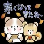 かわいい秋の日♡〜ねこ〜
