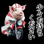 リアル☆メスブタ 3