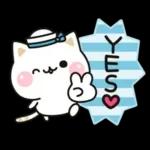 気づかいのできるネコ♪夏・梅雨編