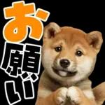 感情丸出しスタンプ