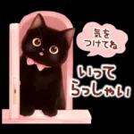 黒猫のつめあわせ♪
