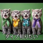 ENFPにゃんこスタンプ