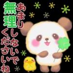 Babyパンダさん「長文」
