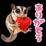 フクロモモンガ❤実りの秋は大豊作